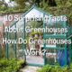 How Do Greenhouses Work