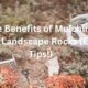 Mulching Your Landscape Rocks