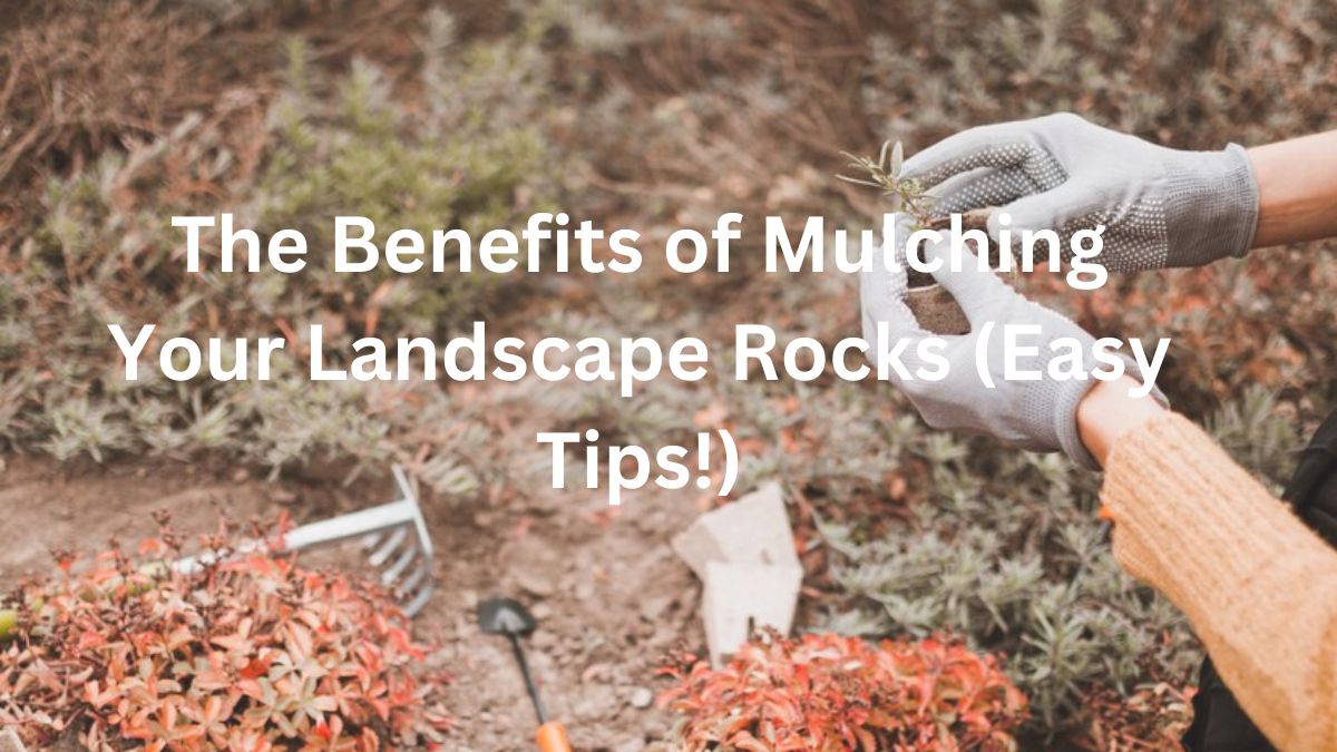 Mulching Your Landscape Rocks