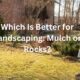 Which Is Better for Landscaping: Mulch or Rocks
