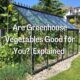 Are Greenhouse Vegetables Good for You