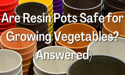 Are Resin Pots Safe for Growing Vegetables
