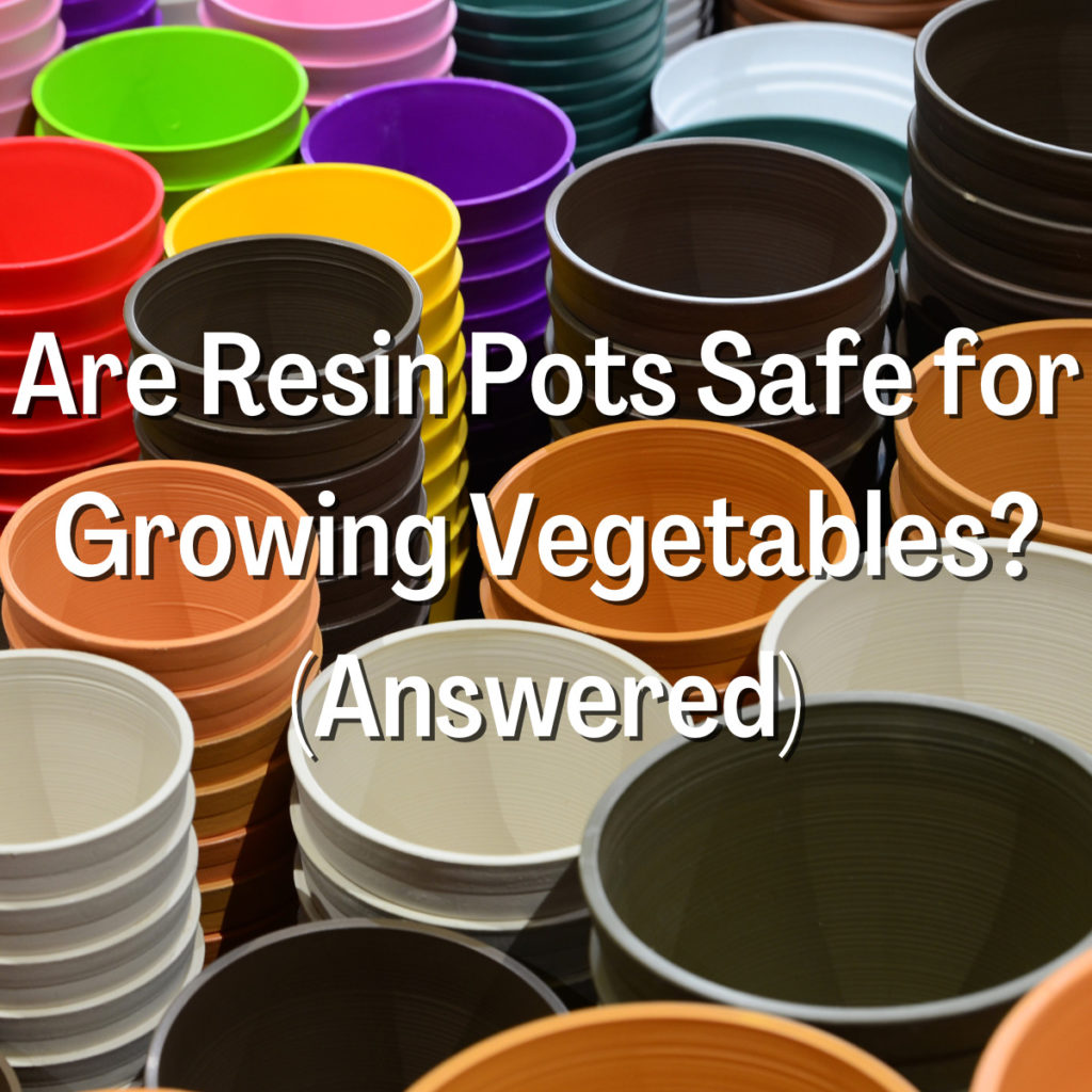 Are Resin Pots Safe for Growing Vegetables