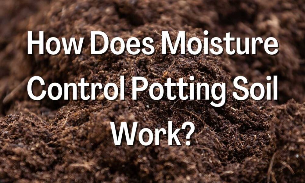 How Does Moisture Control Potting Soil Work