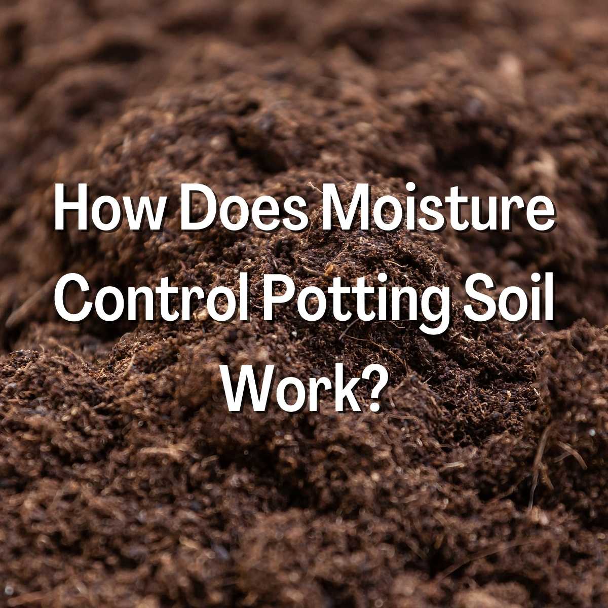 How Does Moisture Control Potting Soil Work