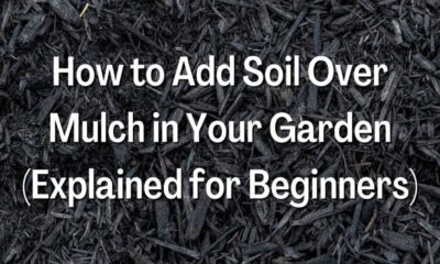 How to Add Soil Over Mulch in Your Garden