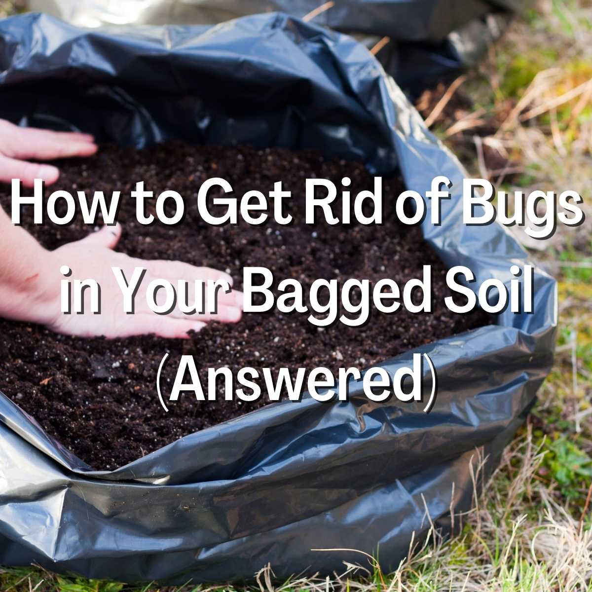 How to Get Rid of Bugs in Your Bagged Soil