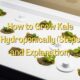How to Grow Kale Hydroponically