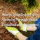 Stop Grass From Growing Through Mulch