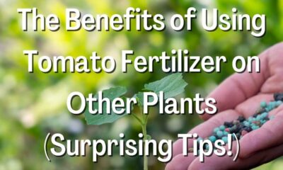 Using Tomato Fertilizer on Other Plants