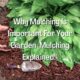 Why Mulching Is Important For Your Garden