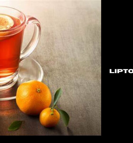 lipton hot tea